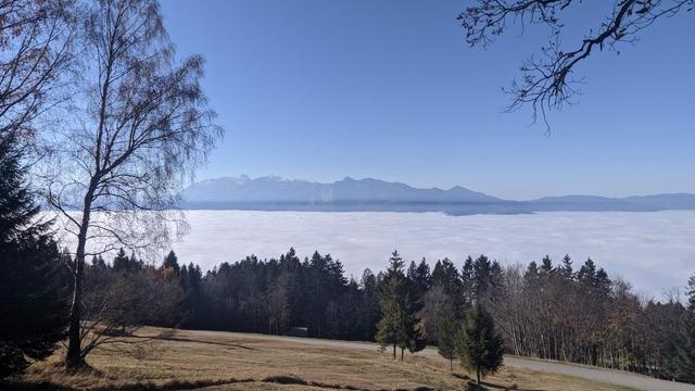 Alpen-Rheintal im Nebel