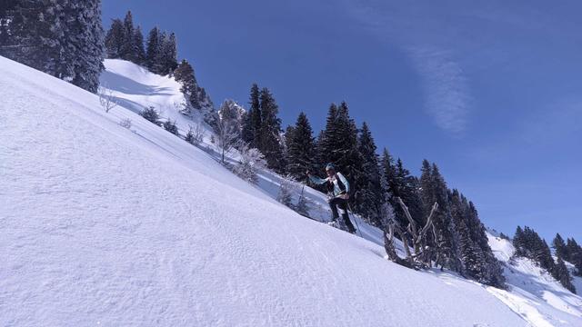 Hermann F steigt mit Tourenschi auf