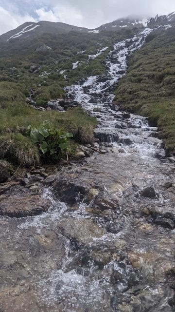 Wildbach