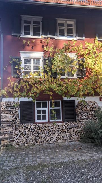 Haus mit Holzstapel