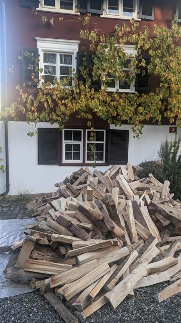 Hau mit Holzhaufen